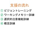 オンライン療育を行います ワーキングメモリーの機能訓練（独自のNバック課題による療育） イメージ1