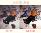 人物・ペット写真をキレイに補正します 明るく・キレイに、大切な一枚を蘇らせます イメージ9