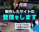 制作したサイトを1ヶ月間管理します 【月額】制作したサイトの管理やご相談をお受けします！ イメージ1