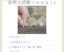 動けない悩みを整理し次の一歩を見つけます “流れ”を整えると、人は自然に芽吹きます イメージ3