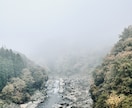 あなたの夢、鑑定します 夢は記憶整理の重要な装置。あなたに必要な情報をお渡しします。 イメージ7