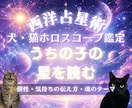うちのコの占星術　犬猫ちゃんホロスコープ鑑定します 個性・気持ちの伝え方・魂のテーマ・飼い主さんとの魂のご縁 イメージ1