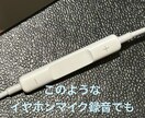 ノイズ除去 MIX マスタリングやります 歴5年,取引実績多数の私が綺麗にMIX マスタリングします イメージ2