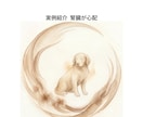 ペットの気持ちをアニマルコミュニケーションで視ます 限定特価中◆犬・猫・鳥・うさぎなどの動物を鑑定致します イメージ6