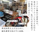 楽天評価１６，０００件の店舗に１カ月相談できます ・売上UP・利益UP・効率化・相談相手・何をするか迷ってる方 イメージ8