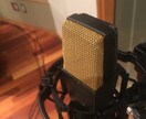 実績1000曲以上！歌ってみたのミックス、承ります 安価でメジャークオリティをお届け！ イメージ1