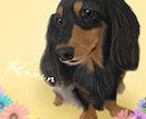 愛犬、ペットの似顔絵を描きます 可愛いペットの似顔絵をリアルタッチで描いています イメージ2