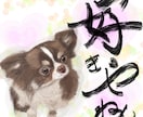 愛犬(チワワちゃん専門)の似顔絵描きます 記念日に我が子の絵を作ってみませんか？ イメージ5