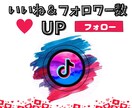 再生回数＆いいね数UP！拡散のお手伝いします TikTok★＋1000再生～＆100いいね～セット価格♪ イメージ1