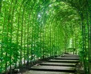 1時間×3日愚痴でも雑談でも何でもお話聞きます 誰かに話したくても話せない事とか日頃の愚痴など何でも イメージ1