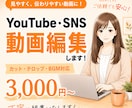 Youtube動画・SNS動画を編集します カット・BGM・テロップ対応◎見やすい動画に仕上げます イメージ1