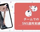 Instagram運用、すべて任せて集客UPします 「月10万円以下で、SNS運用を丸ごと手放せます。」 イメージ2