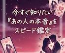 今すぐ知りたい「あの人の本音」をスピード鑑定します 霊感タロットでお相手の気持ちを深く精密に読み解きます イメージ1