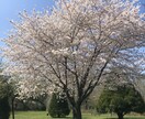 愚痴、悩み相談など何でも聞きます 誰かに聞いて欲しい！そんな方はお気軽ご利用下さい。 イメージ1