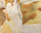 ペットや動物を色鉛筆でリアルに描きます ペットの思い出づくりにいかがですか？ イメージ1