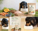 犬用商品の撮影代行します 思わず欲しくなる可愛い一枚をお届け イメージ2
