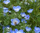 楽しい、嬉しい、腹が立つ、気持に優しく共感します ️ ☘誰かに耳を傾けて、否定しないで話しを聞いて欲しい方へ☘ イメージ2