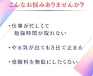 21日間サポート！社会人のための勉強に伴走します 【忙しい人・続かない人用】資格取得、勉強を管理・習慣化します イメージ1