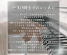 平日15時迄限定！初心者歓迎！お得にレッスンします 夏休み応援！限定枠だからこの価格！音高・音大・海外留学の講師 イメージ2