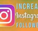 Instagramフォロワー5000人増やします instagramのフォロワーを増やします イメージ2