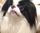 女性限定。元  No.1ホストがお話を聞きます 恋愛、夜職の悩みのある女性へ。僕の話で笑顔なれますように⭐️ イメージ2
