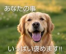 あなたの頑張りを言語化し200%褒めちぎります あなたの頑張りを全力で褒めちぎる3日間のチャット伴走 イメージ1