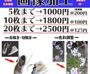 画像の加工お任せ下さい！即対応いたします 白抜き・切り抜き・色彩調整・不要物の除去・etc… イメージ1