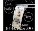 商品撮影可★ ECサイト商品ページをデザインします 楽天市場、Amazonなど商品画像作成 お任せください！！ イメージ6
