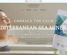 売れる導線設計でShopifyECサイト構築します 購入率を高めるネットショップ制作★初心者の方も安心サポート イメージ6