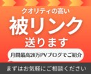 月間20万PVのサイトから高品質被リンクを送ります 被リンクによるサイト強化やSEO対策にご利用下さい！ イメージ1