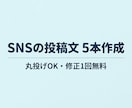 SNSの投稿文を10本作成します 投稿が続かない方へ。1週間分の投稿文を安価でまとめてお届け イメージ1