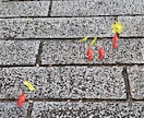 お話、愚痴何でも聞きます お友達感覚で話聞きます。お話し相手を探してる方はぜひ。 イメージ1