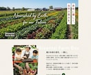 売れる導線設計でShopifyECサイト構築します 購入率を高めるネットショップ制作★初心者の方も安心サポート イメージ3