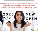 ココナラ宣伝3冠のプロマーケターがコンサル致します NEW OPEN/ココナラ解説書（販売価格1万円）無料付帯 イメージ4