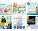 EC歴14年｜購入につながるEC画像を制作します 構成に不安のある方やラフ案OK｜構成添削し伝わる形に整えます イメージ9