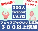 Facebookページフォロー数３００人増加します 【保証10日間】！シェアも同価格！いいねは１５００円 イメージ5