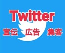 あなたのTwitterを拡散します あなたの商品を複数垢で宣伝・広告・集客！ イメージ1