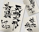 好きな名前や技名を筆文字で書きます 力強く、優しく、繊細になどイメージに沿ってお書きします。 イメージ1