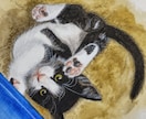 猫ちゃん専門！リアル手描き水彩の肖像画ですます 渾身丁寧に描き込む透明水彩画による唯一の原画をお届けします イメージ1