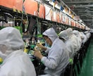中国工場の現地確認を代行します｜写真・報告付きます 指定事項を現地で確認し日本語で分かりやすく報告します イメージ5