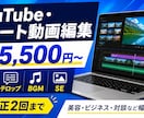 YouTube・ショート動画を丁寧に編集します 美容・エンタメ・ビジネス・対談など幅広く対応 イメージ1