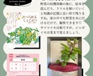 ミッション系女子校小学受験の個別サポート致します 雙葉、白百合学園、聖心女子初等科のペーパー学習計画や願書添削 イメージ4