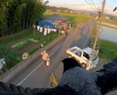 動物視点の没入体験動画を制作します 臨場感ある視点で印象に残る映像を制作します イメージ2