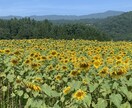 忙しいあなたに悩んでるあなたに。相談のります 低価格でご相談に乗ります。重くない「何でも屋」です。 イメージ1