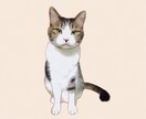 あなたのペットをイラストにします お写真を基にイラストを描きます イメージ9