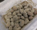 疲れやすい等プチ不調…手軽に整える方法お伝えします お辛い状況に…経験者、薬膳心理カウンセラーとしてアドバイス イメージ5