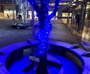 ハイクオリティな写真を提供します 代行、写真撮影、iPhone一台で完結させます イメージ8