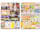 低価格で高品質!! 効果の出るチラシ作成いたします 印刷配送も可能！お気軽にご相談ください！ イメージ6