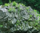 自然の写真を撮ります 癒される自然の写真を撮ります。提供します。 イメージ6
