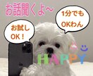 あなたのお話を関西の動物大好き主婦が聞きます たった5分だけでもお話聞きます！気楽にお話しましょう。 イメージ1
